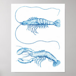 Poster Decoração náutica azul dos crustáceos No.6 da 