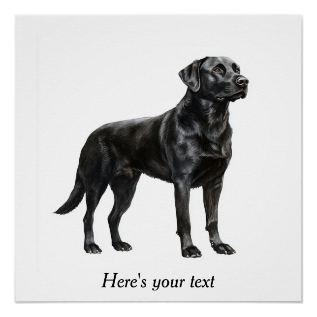 Pôster Decoração Personalizada de Labrador Retriever Pret (Frente)