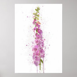 Poster Dedaleira