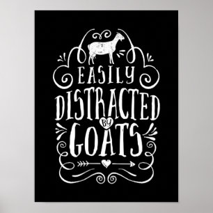 Poster Dedicado Facilmente Por Gatos Engraçados De Capri