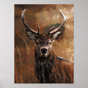 Poster Deer