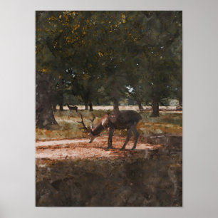 Poster Deer