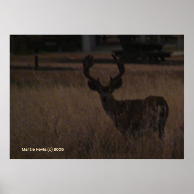 Poster Deer Antlers (Frente)