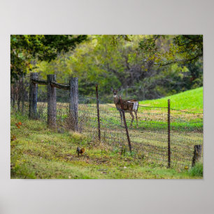 Poster Deer E Um Esquilo Painterly