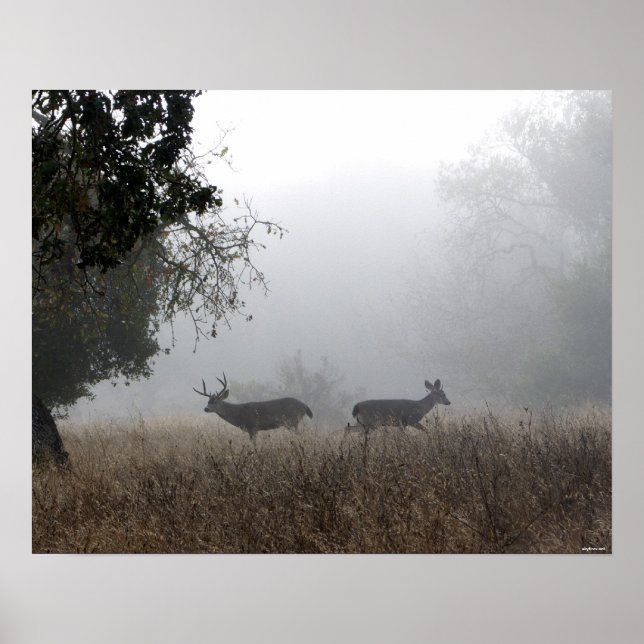 Poster Deer in Fog (Frente)