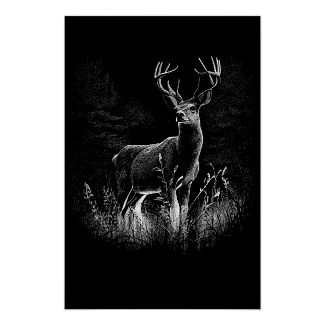 Pôster deer in the wild (Frente)