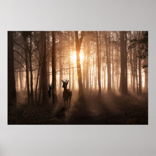 Poster Deer in woods at sunrise in Norfolk England