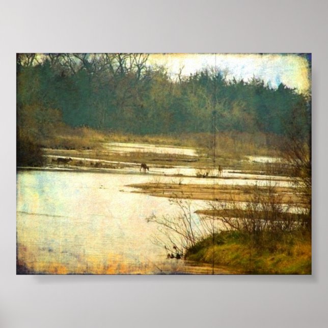 Pôster Deer no rio Platte perto de Kearney, Nebraska (Frente)