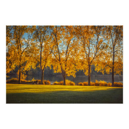 Pôster DeerLake em outono