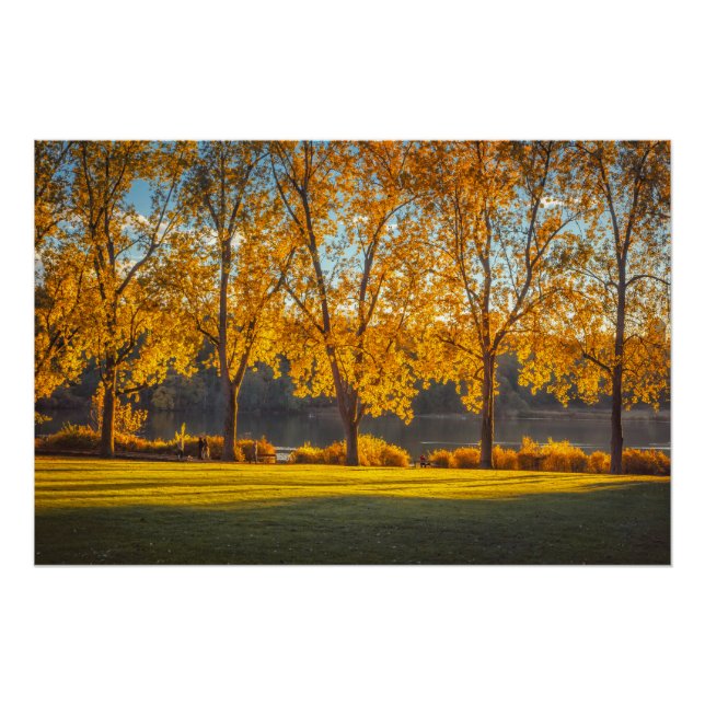 Pôster DeerLake em outono (Frente)