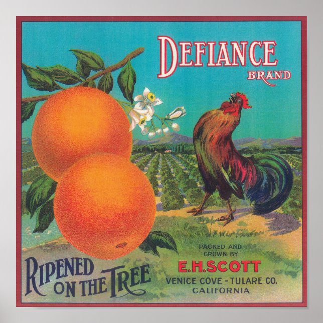 Poster Defiance Orange LabelVenice Cove, CA (Frente)