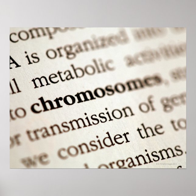 Pôster Definição de cromossomos na página (Frente)