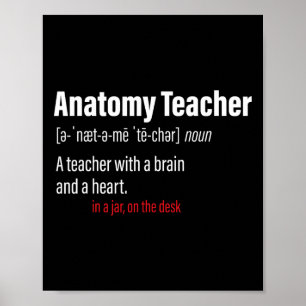 Poster Definição de Professor de Anatomia Professores de