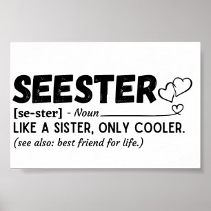 Poster Definição de Sister Funny Seester