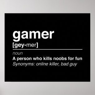 Poster Definição do Gamer