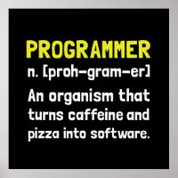 Definição do programador
