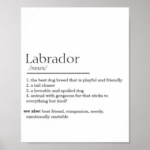 Poster Definição Labrador