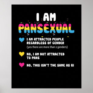Poster Definição Pansexual - Orgulho gay engraçado LGB