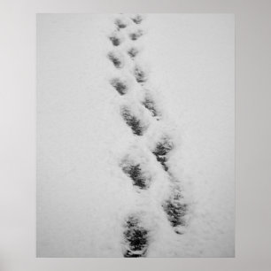 Pôster degraus na neve