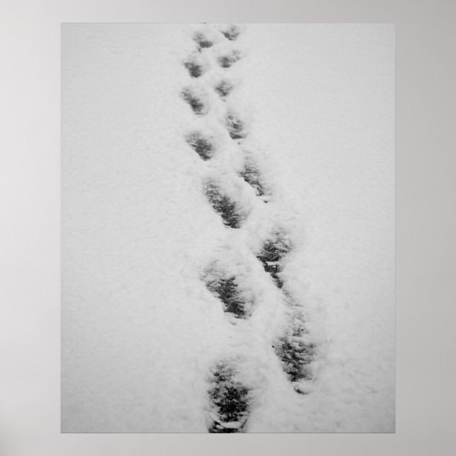 Pôster degraus na neve (Frente)