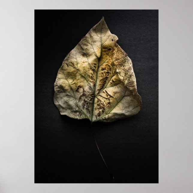 Poster Deixa a versão de cor nº 1 (Frente)