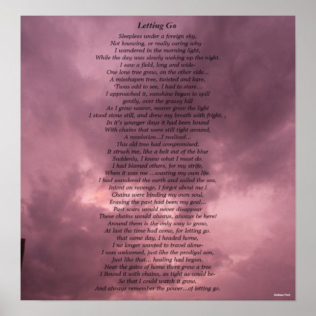 Pôster Deixando Ir (Frente)