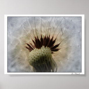 Pôster Deixe a brisa levar-me