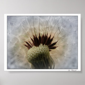 Pôster Deixe-me Carregar