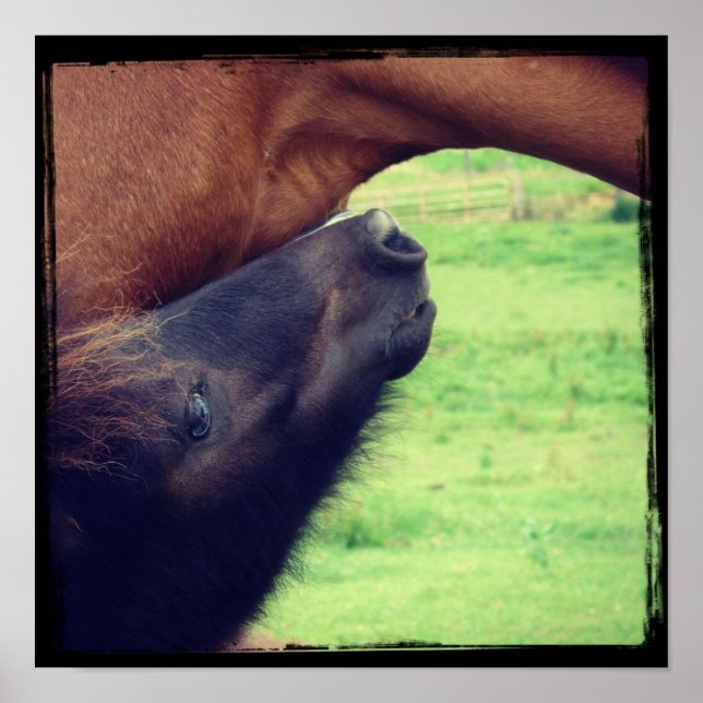 Pôster Deixe-Me Te Dizer Um Segredo (Frente)