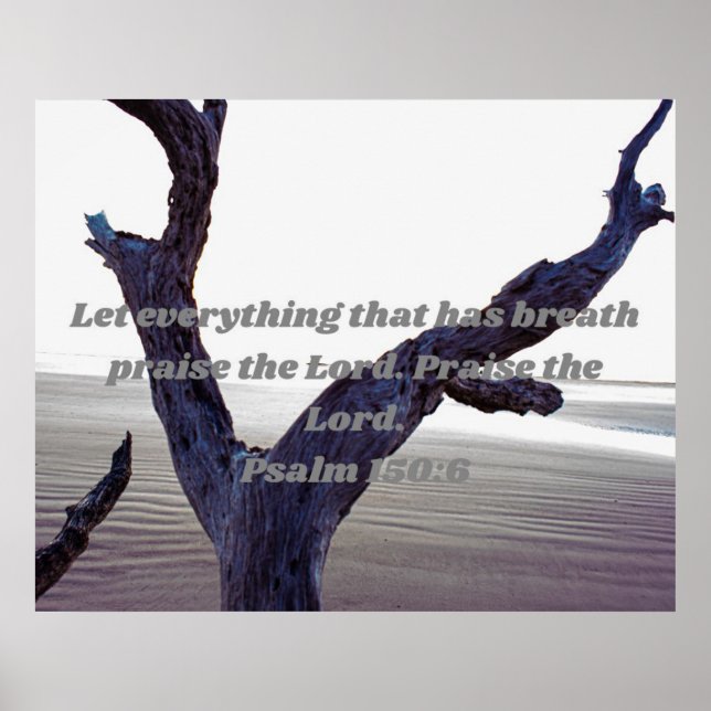 Poster Deixe tudo que tem Breath Louvar o Senhor (Frente)