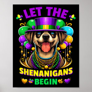Poster Deixem Os Shenanigans Começar Homens Mardi Gras Ca