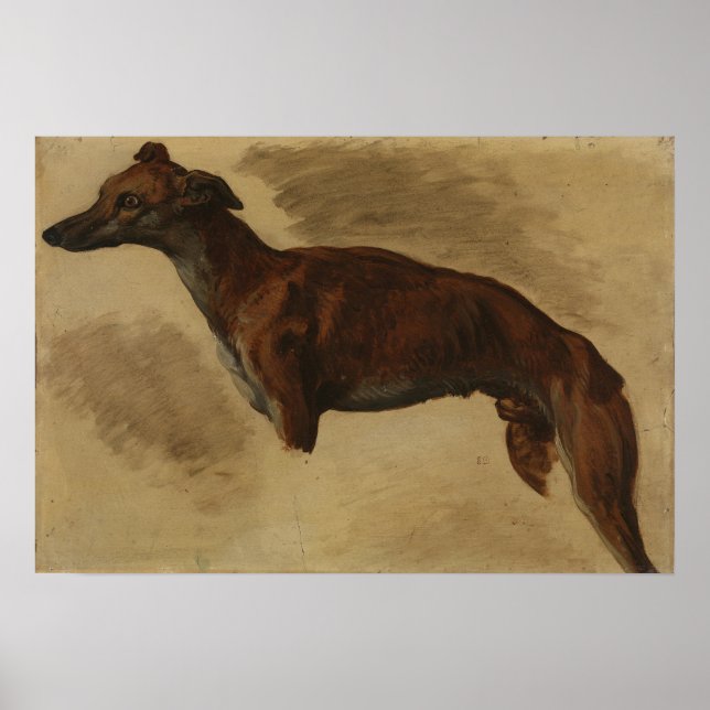 Poster Delacroix - Levrier Provavelmente 1859 (Frente)
