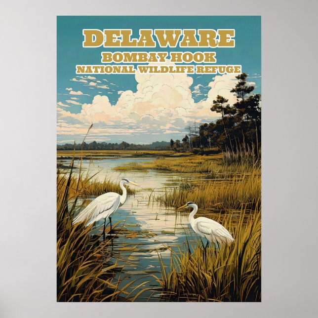 Poster Delaware Bombay Hook V03 (Frente)