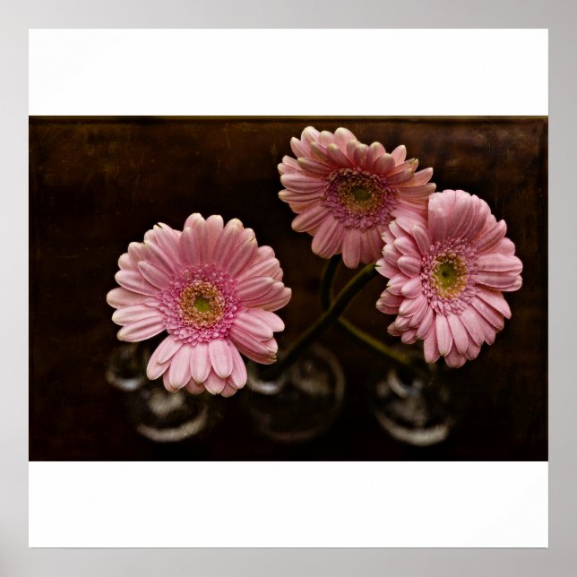 Poster delicadamente (Frente)