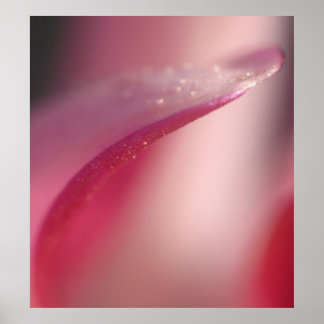 Poster Delicado