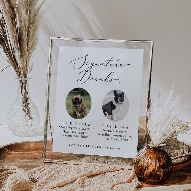 Poster Delicar Caligrafia Cachorros Fotografar Bebidas (Criador carregado)