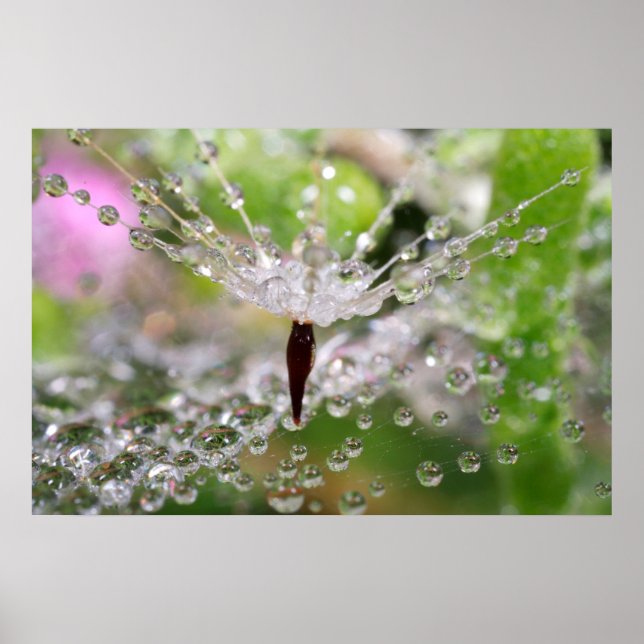 Poster Delicate Dandelion Abstrato (Frente)