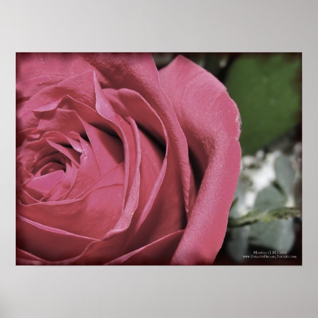 Poster Delicate Feelings (Frente)