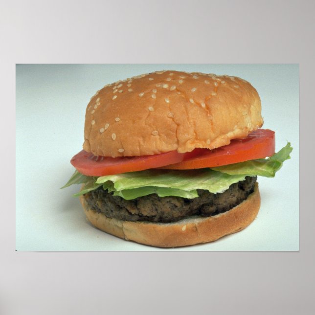 Poster Delicious Hamburger (Frente)