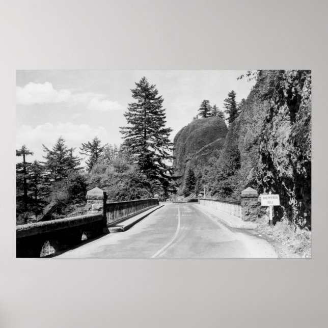 Poster Dell de Shepherd no Rio Columbia Fotografia 2 (Frente)