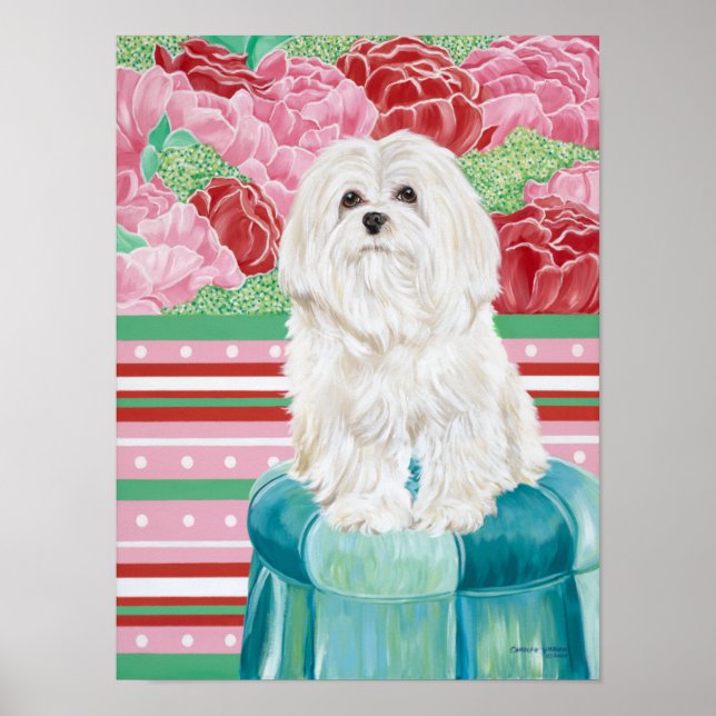 Poster Della Rosa maltesa (Frente)