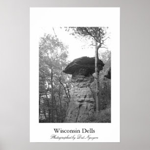Poster Dells de Wisconsin