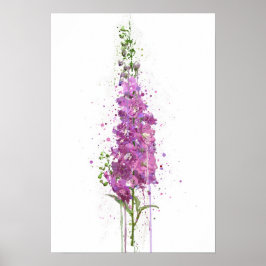 Poster Delphiniums