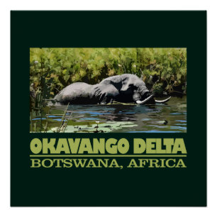 Pôster Delta de Okavango