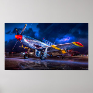 Poster Demasiado tormentoso para voar