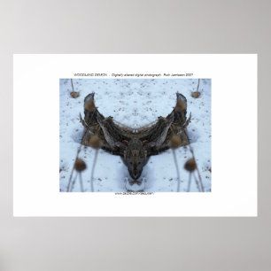 PÔSTER DEMÓNIO DA FLORESTA