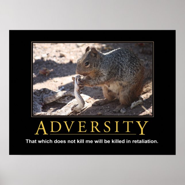 Poster Demotivacional: Adversidade (Frente)