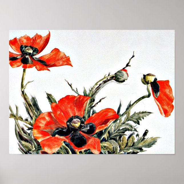 Poster Demuth - Poppies Vermelhos, pintura popular (Frente)