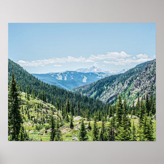 Poster Dense Forest Background // Ski Resort Runs (Frente)