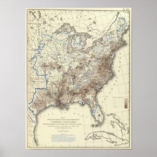 Pôster Densidade populacional 1870 da raça